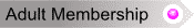 Right-click and select "Save Target As"